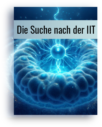 Die Suche nach der IIT